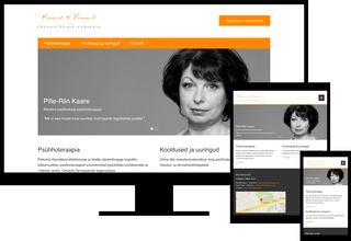 t3brightside.com_typo3_portfolio_kaarepruul.jpg