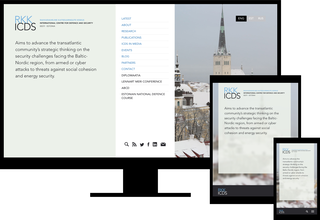 t3brightside.com_typo3_portfolio_icds.jpg